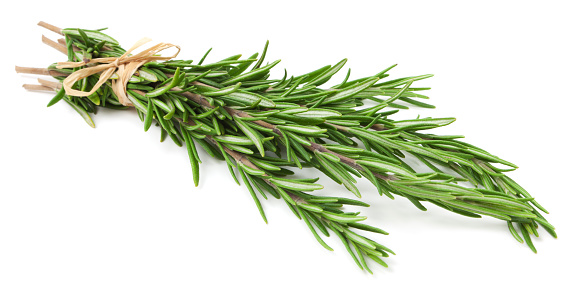 Rosemary Essential Oil: A Guide to Benefits, Uses and Side Effects