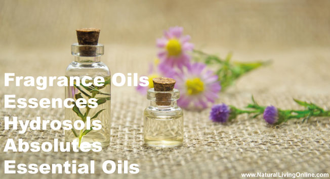 What Are Essential Oils: The Difference Between Fragrance Oils, Essences, hydrosols, Absolutes and Essential Oils