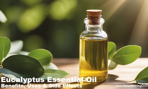 Eucalyptus Essential Oil: Benefits, Uses and Side Effects