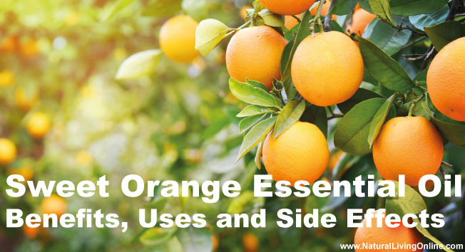 Sweet Orange Essential Oil: A Guide to Benefits, Uses and Side Effects