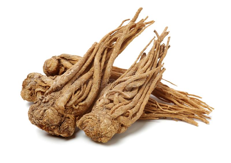 Angelica Root Essential Oil: A Guide to Benefits, Uses and Side Effects