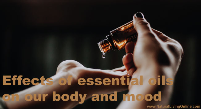 Effects of essential oils on our body and mood