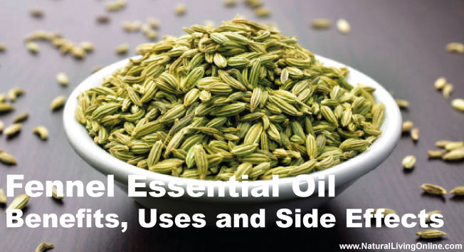 Fennel Essential Oil: A Guide to Benefits, Uses and Side Effects