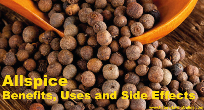 Allspice Essential Oil: A Guide to Benefits, Uses and Side Effects