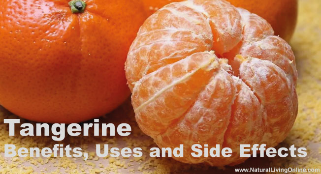 Tangerine Essential Oil: A Guide to Benefits, Uses and Side Effects