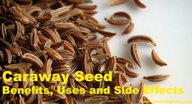Caraway Seed Essential Oil: A Guide to Benefits, Uses and Side Effects