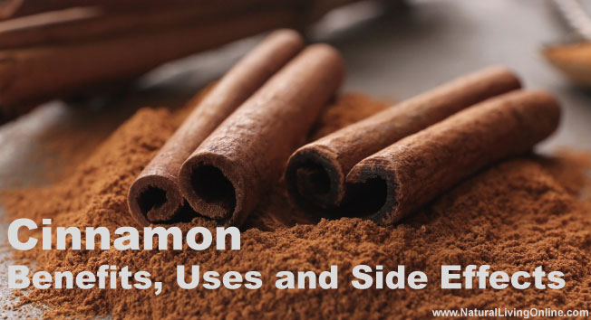Cinnamon Essential Oil: A Guide to Benefits, Uses and Side Effects