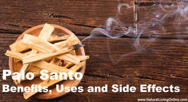Palo Santo Essential Oil: A Guide to Benefits, Uses and Side Effects
