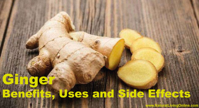 Ginger Essential Oil: A Guide to Benefits, Uses and Side Effects