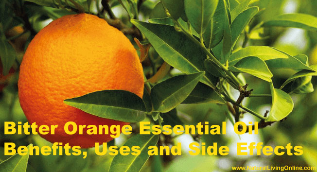 Bitter Orange Essential Oil: A Guide to Benefits, Uses and Side Effects