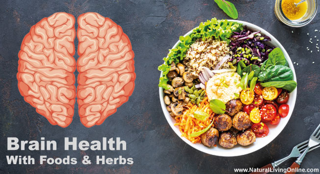 Foods and Herbs to Improve Brain Health
