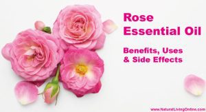 Rose Essential Oil