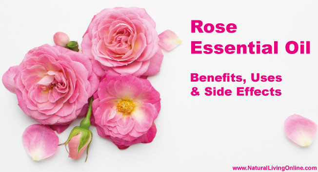 Rose Essential Oil, Rose Absolute: A Guide to Benefits, Uses and Side Effects