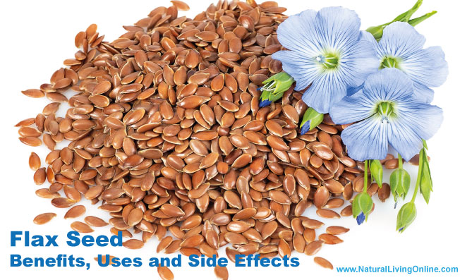 Flax Seed Benefits, Uses and Side Effects