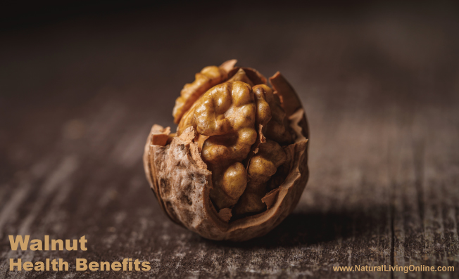 Walnut Health Benefits