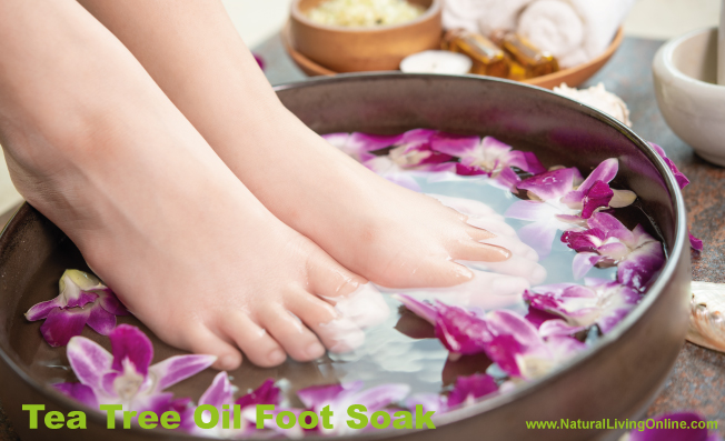 Tea Tree Oil Foot Soak: The Benefits and How to Use It