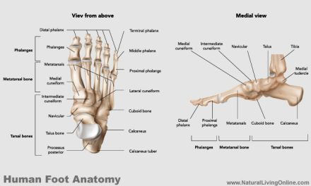 Foot Pain Causes and Treatments