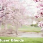 Best Spring Diffuser Blends to Refresh Your Space