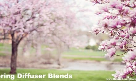 Best Spring Diffuser Blends to Refresh Your Space