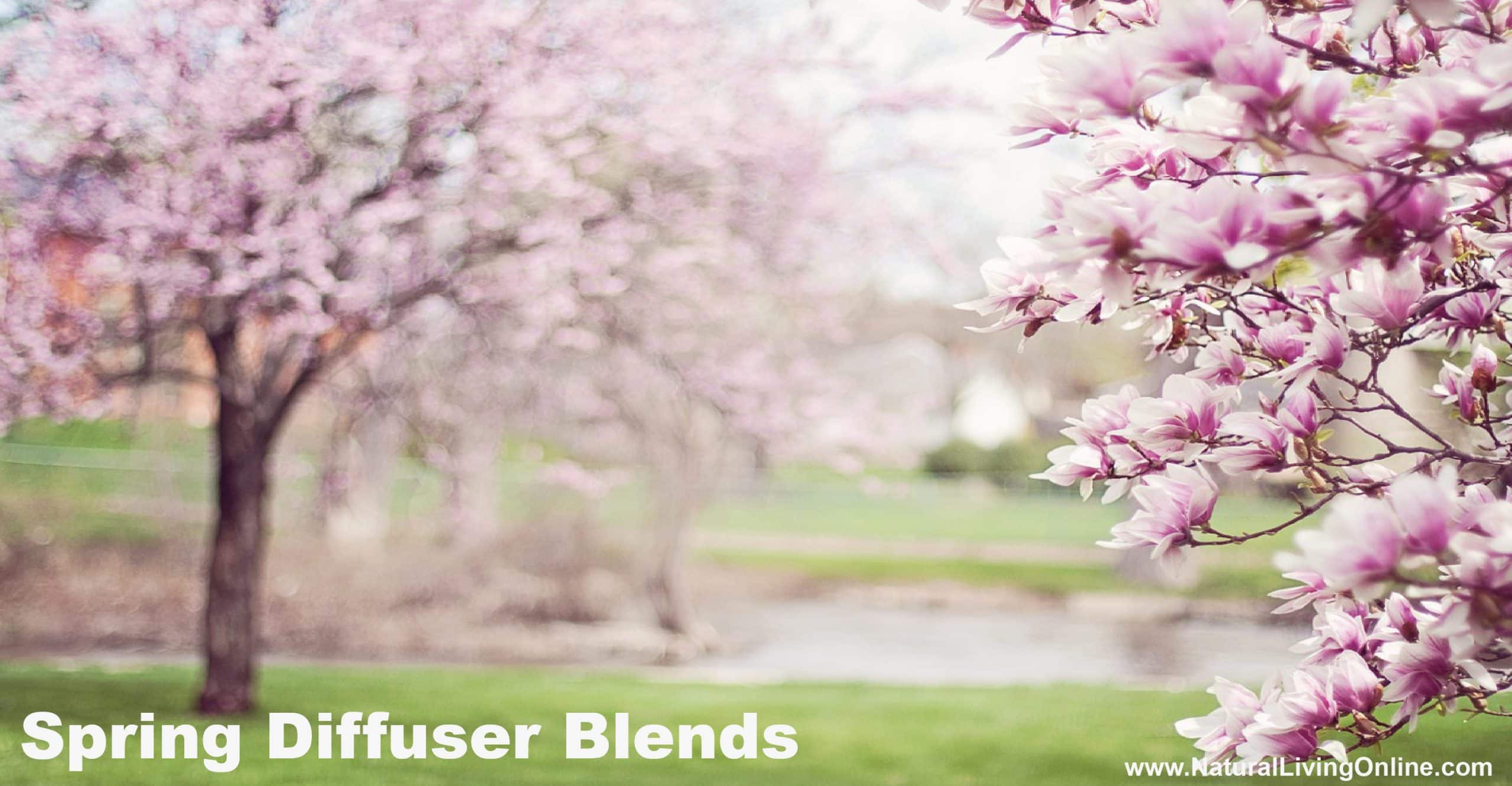 spring diffuser blends