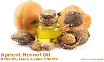 Apricot Kernel Oil Benefits, Uses, and Side Effects: A Comprehensive Guide