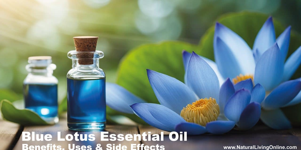 Blue Lotus Essential Oil Benefits, Uses, and Side Effects: A Comprehensive Guide