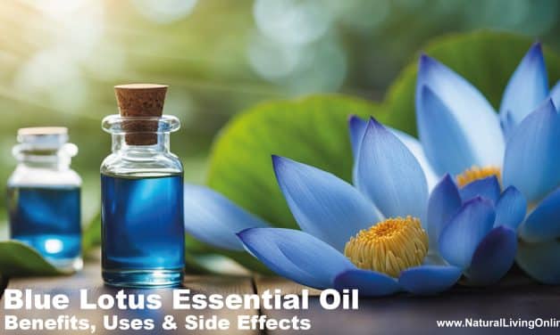 Blue Lotus Essential Oil Benefits, Uses, and Side Effects: A Comprehensive Guide