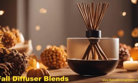 Fall Diffuser Blends: Best Autumnal Aromas for Your Home