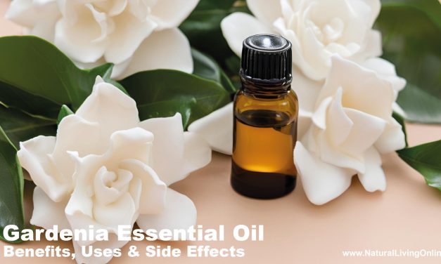 Gardenia Essential Oil Benefits, Uses, and Side Effects: An Expert Guide