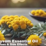 Helichrysum Essential Oil Benefits, Uses and Side Effects: A Comprehensive Guide