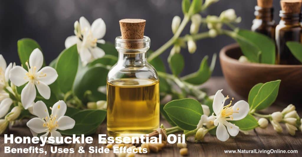 Honeysuckle Essential Oil Benefits, Uses, and Side Effects A