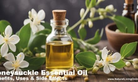 Honeysuckle Essential Oil Benefits, Uses, and Side Effects: A Comprehensive Guide