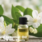 Jasmine Essential Oil Benefits, Uses, and Side Effects: An Expert Guide