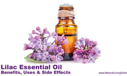 Lilac Essential Oil Benefits, Uses, and Side Effects: An Expert Guide