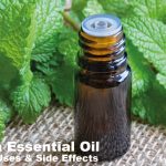 Melissa Essential Oil Benefits, Uses, and Side Effects: A Comprehensive Guide