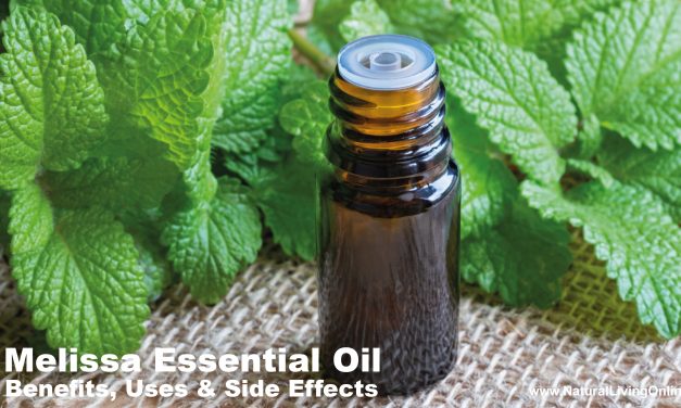 Melissa Essential Oil Benefits, Uses, and Side Effects: A Comprehensive Guide