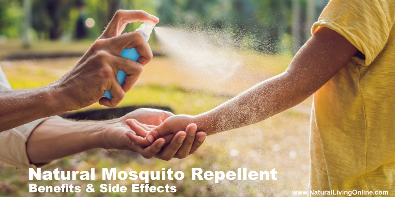 Best Natural Mosquito Repellents