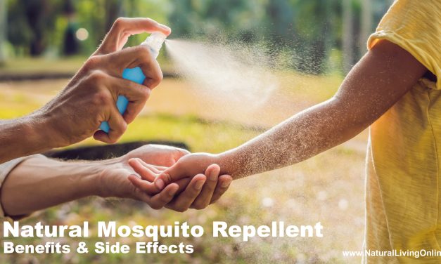 Best Natural Mosquito Repellents