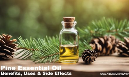 Pine Essential Oil Types, Benefits, Uses, and Side Effects: A Comprehensive Guide