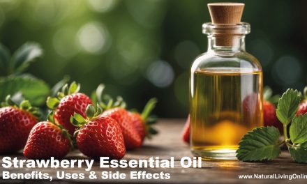 Strawberry Essential Oil Benefits: Comprehensive Guide to Uses and Side Effects