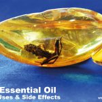 Amber Essential Oil Benefits, Uses, and Side Effects: A Comprehensive Guide
