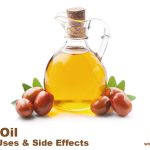 Jojoba Oil: Benefits, Uses, and Side Effects – A Comprehensive Guide