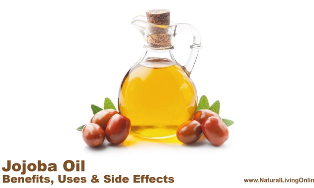 Jojoba Oil: Benefits, Uses, and Side Effects – A Comprehensive Guide