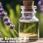 Lavender Essential Oil Benefits, Uses, and Side Effects: An Expert Overview