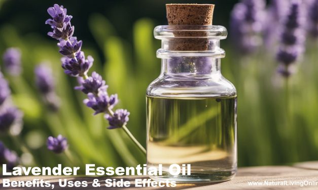 Lavender Essential Oil Benefits, Uses, and Side Effects: An Expert Overview