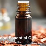 Sandalwood Essential Oil Benefits, Uses, and Side Effects: A Comprehensive Guide