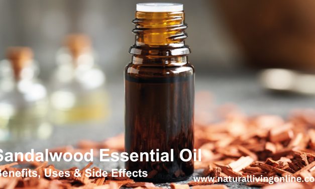Sandalwood Essential Oil Benefits, Uses, and Side Effects: A Comprehensive Guide