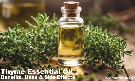 Thyme Essential Oil Benefits, Uses, and Side Effects: An Expert Guide