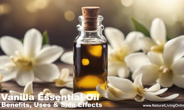 Vanilla Essential Oil Benefits, Uses, and Side Effects: An Expert Overview