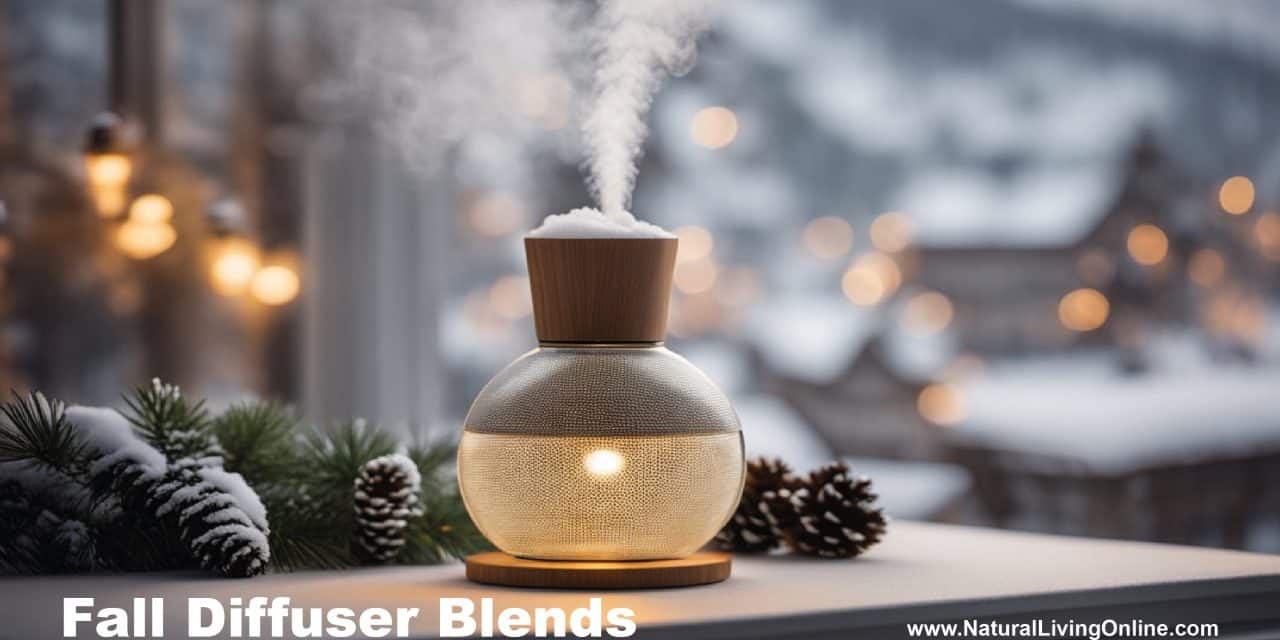 Winter Diffuser Blends: 10 Cozy Aromas for Cold Weather Comfort